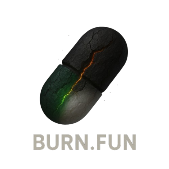 Burn.fun Logo